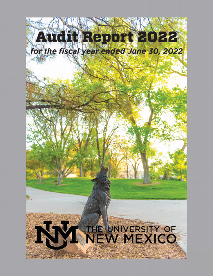 FY22 Audited Financial Statement