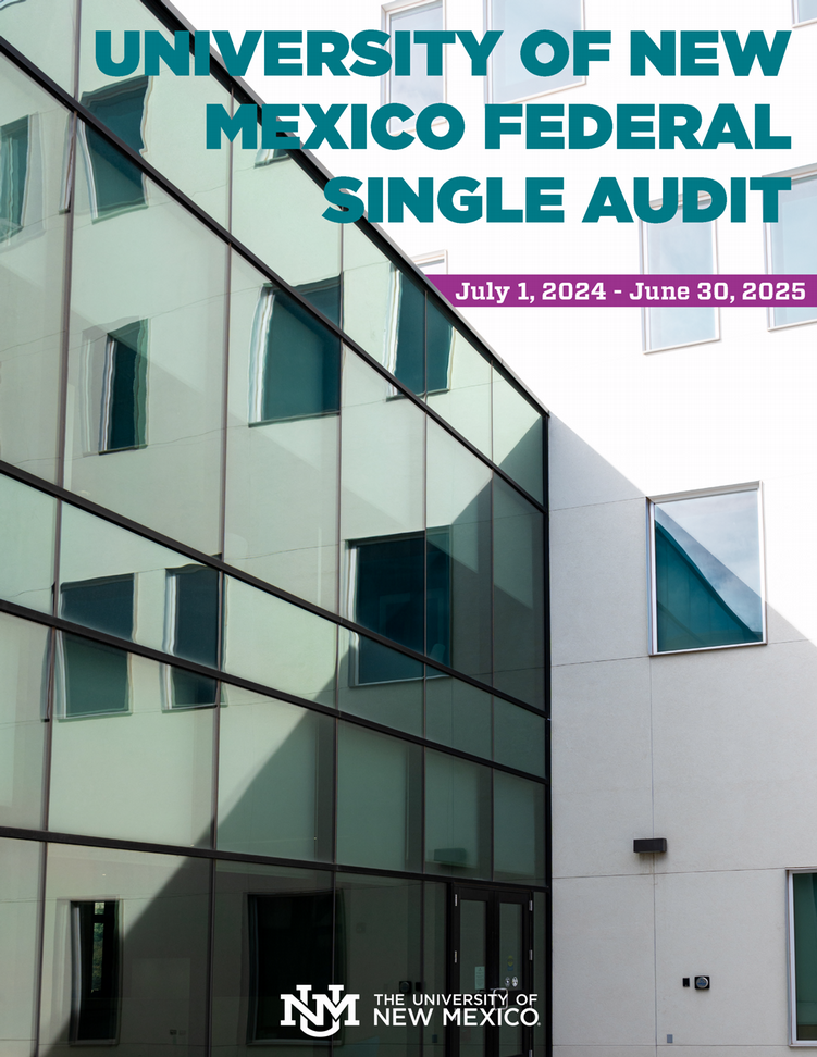 FY 2025 Single Audit Report